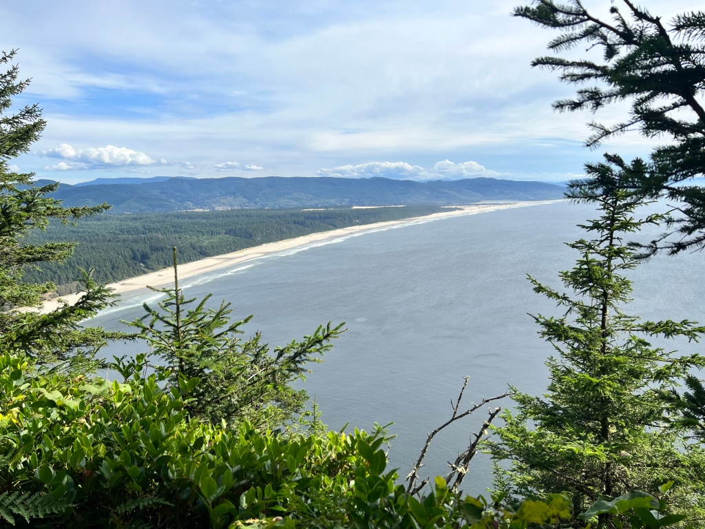 coastal view from cape lookout